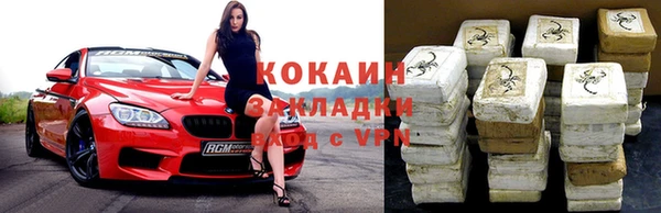 шишки Усолье-Сибирское