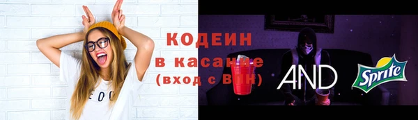 шишки Усолье-Сибирское