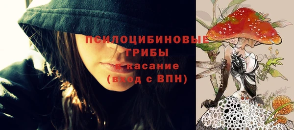 СК Горняк