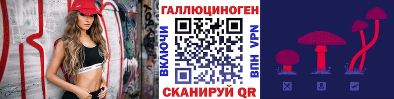 продажа наркотиков  Новоржев  Псилоцибиновые грибы GOLDEN TEACHER 